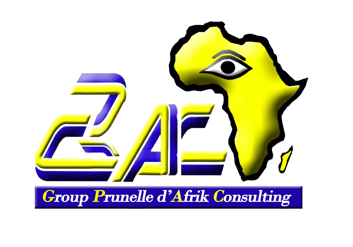 Group Prunelle d'Afrik Consulting